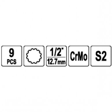 1/2" Galvučių smūginių su antgaliais rinkinys (SPLINE) (9vnt) 2