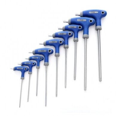 'T' tipo.rak.rink.(9vnt) (torx)  T10-T50